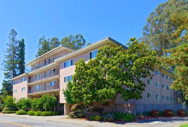 1BR/1BA Apartment · San Leandro photo 2