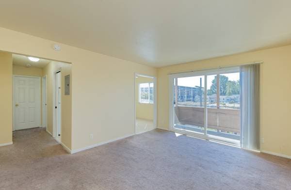 1BR/1BA Apartment · San Leandro photo 1
