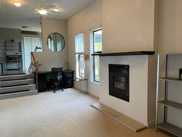 1BR/1BA Apartment · San Anselmo photo 2
