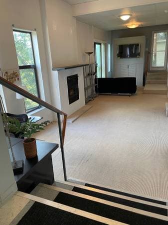 1BR/1BA Apartment · San Anselmo photo 3