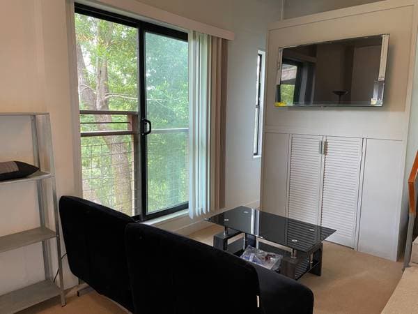 1BR/1BA Apartment · San Anselmo photo 4