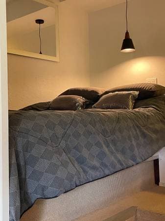 1BR/1BA Apartment · San Anselmo photo 5
