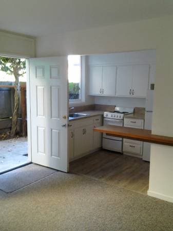 1BR/1BA Apartment · Mill Valley photo 1