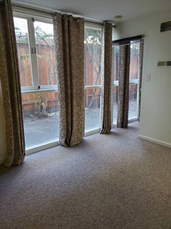 1BR/1BA Apartment · Mill Valley photo 3