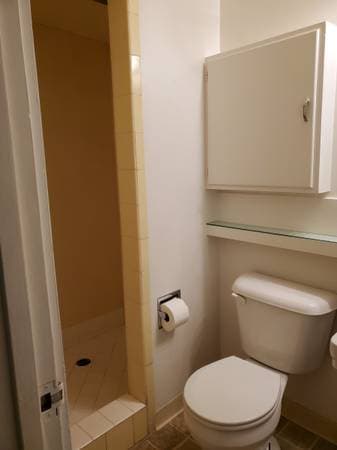1BR/1BA Apartment · Mill Valley photo 4