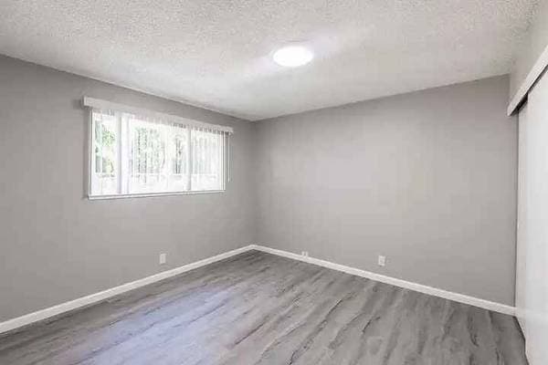 Sandalwood Apartments photo 3