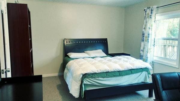 1BR/1BA In Law Adu · San Francisco photo 3