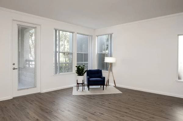 1BR/1BA Apartment · San Mateo photo 1