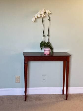 1BR/1BA Apartment · San Mateo photo 3