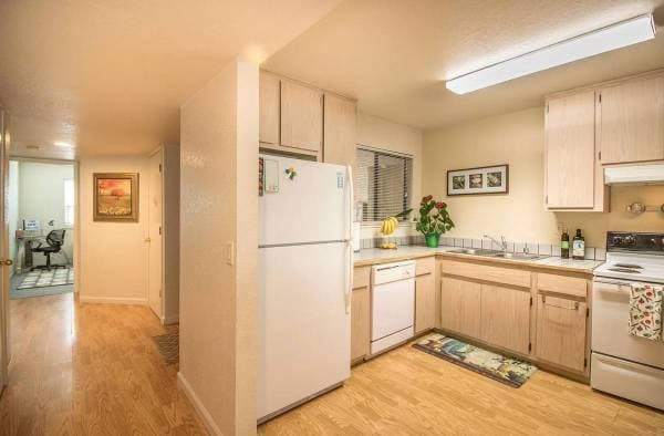 Spacious And Bright 1br/1ba Unit In The Mission! Laundry! Parking! Progressive photo 1