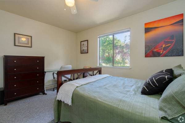 Spacious And Bright 1br/1ba Unit In The Mission! Laundry! Parking! Progressive photo 5
