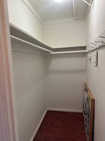 1BR/1BA Apartment on Carlson Blvd · Albany photo 5