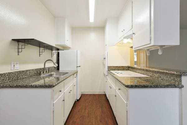 Central and Grand Apartments photo 4
