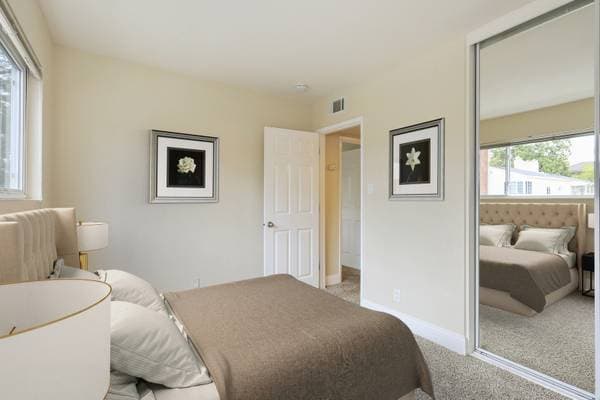 Central and Grand Apartments photo 5