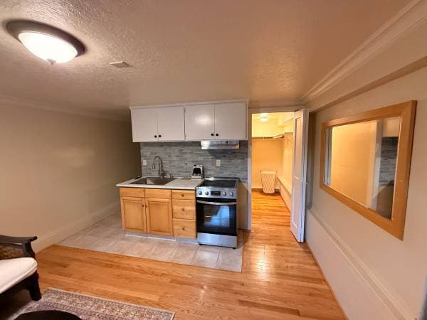 0BR/1BA In Law Adu · Aptos photo 5