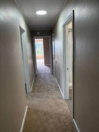Beautiful 1 Bed 1 Bath Available photo 3