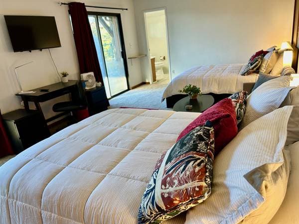 1BR/1BA In Law Adu · Novato photo 5