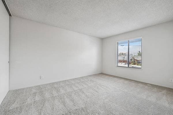 2BR/1BA Apartment on Hollis Avenue · Campbell photo 4