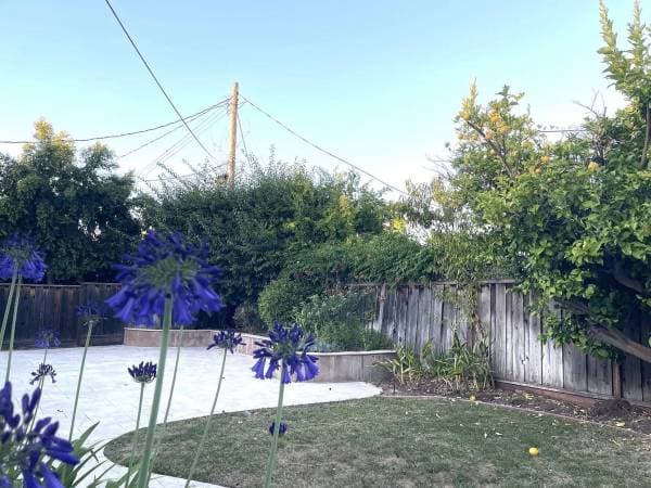 3BR/2BA Single Family House · San Jose photo 2