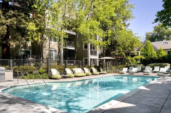 1BR/1BA Apartment · Santa Clara photo 3