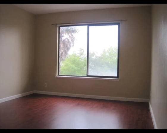 Charming And Comfortable One-bedroom Apartment In An Unbeatable Location—just One Block From Campus photo 4