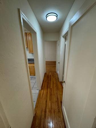 1BR/1BA Apartment · Berkeley photo 4