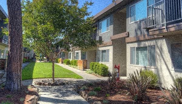 2BR/2BA Apartment on Escuela Avenue · Mountain View photo 5