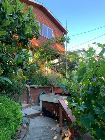 1BR/1BA In Law Adu · Fairfax photo 2