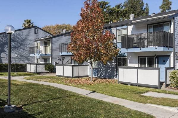 1BR/1BA Apartment on Coggins Drive · Walnut Creek photo 5