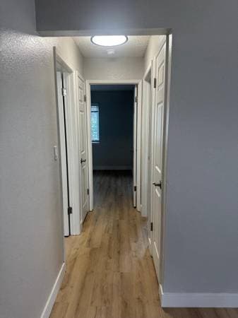 1BR/1BA Apartment on Peach Tree Drive · Fairfield photo 4