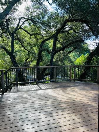 1BR/1BA Flat · Fairfax photo 2