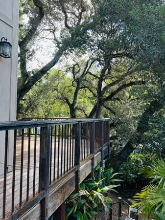 1BR/1BA Flat · Fairfax photo 3