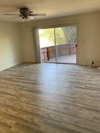 1BR/1BA Apartment · Belmont photo 3