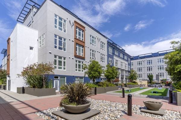 1BR/1BA Apartment · San Jose photo 3
