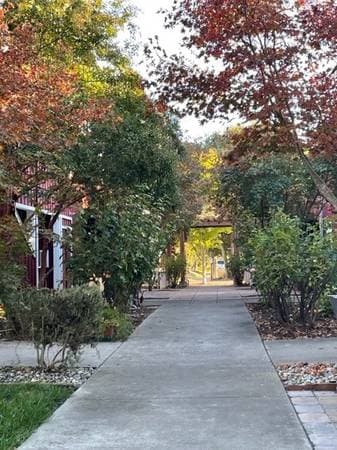 1BR/1BA Apartment · Santa Rosa photo 4