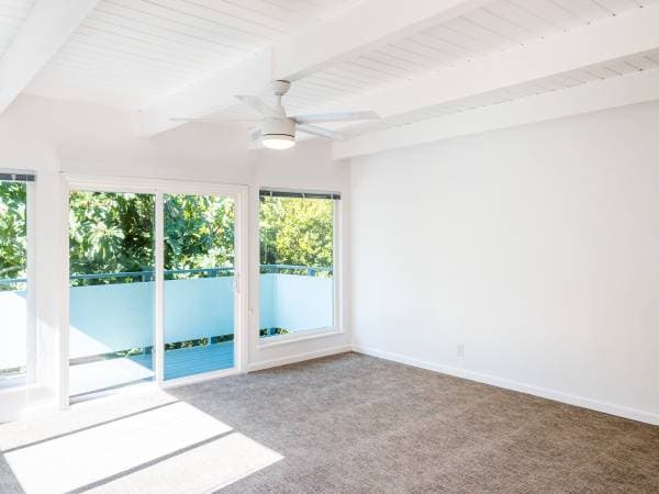 2BR/1BA Apartment on Park Ave · Mill Valley photo 2