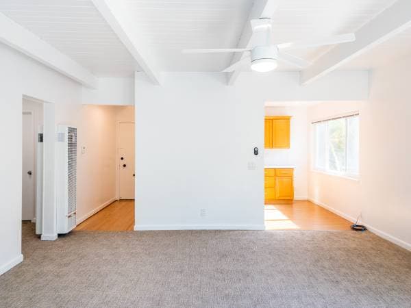 2BR/1BA Apartment on Park Ave · Mill Valley photo 5
