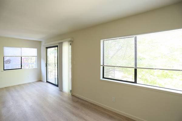 2BR/2BA Apartment · Oakland photo 4