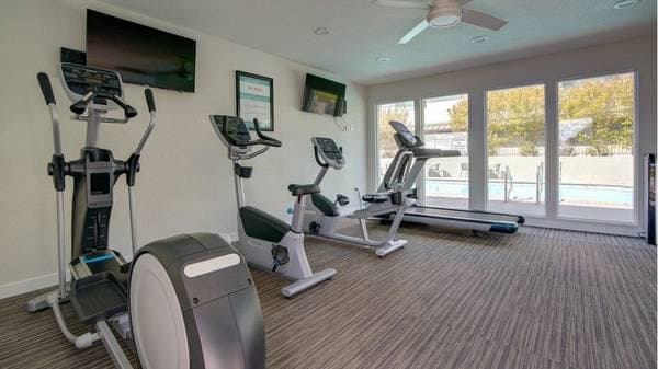1BR/1BA Apartment on Fairfield Avenue · Fairfield photo 1