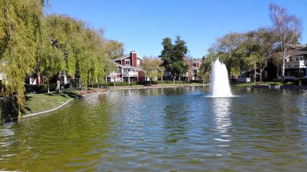 1BR/1BA Apartment · Richmond photo 1
