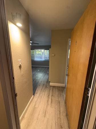 1BR/1BA Apartment on Claremont · Oakland photo 1