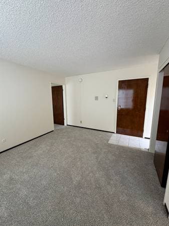1BR/1BA Apartment on Arguello Blvd · San Francisco photo 5