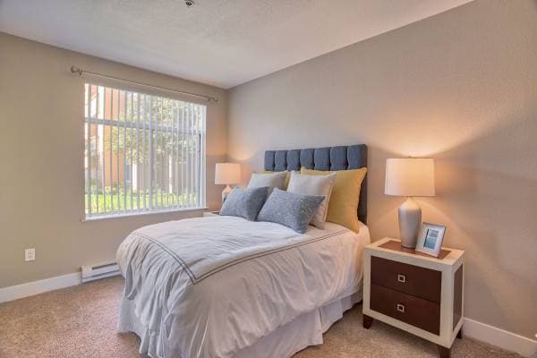 1BR/1BA Apartment · San Jose photo 4