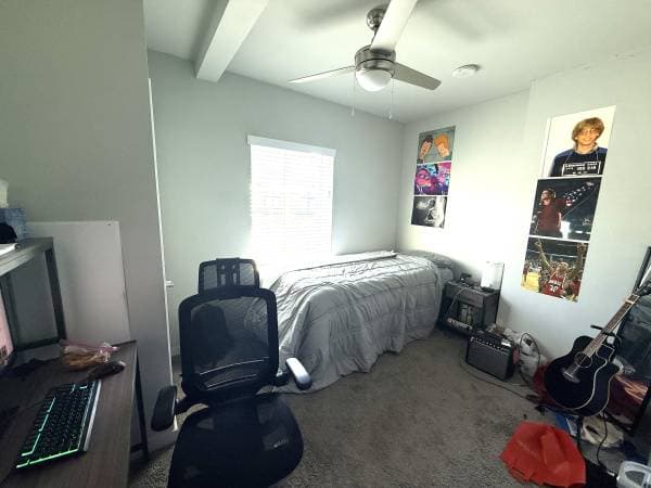 1BR/1BA Apartment on Bancroft Way · Berkeley photo 1