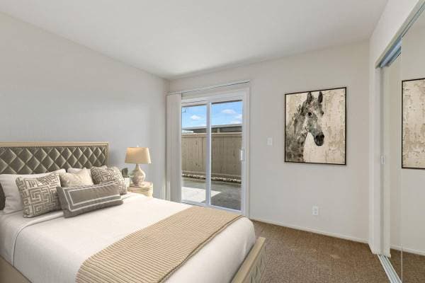 2BR/2BA Apartment · Tracy photo 4