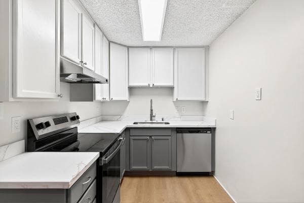 1BR/1BA Apartment · San Rafael photo 2