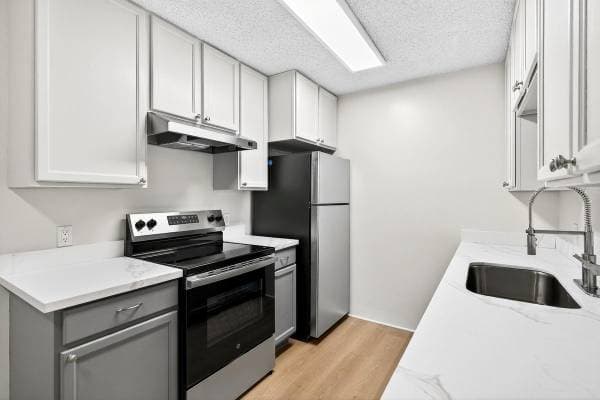 1BR/1BA Apartment · San Rafael photo 4