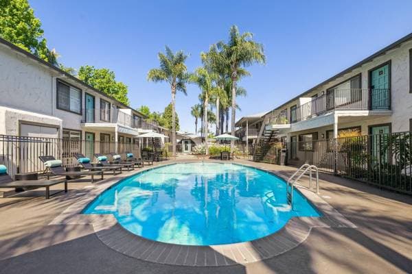 2BR/1BA Apartment on Hollis Avenue · Campbell photo 5