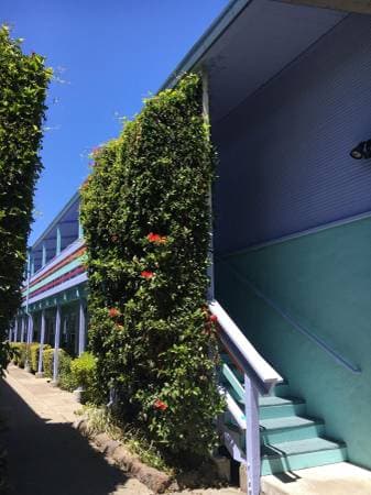 1BR/1BA Apartment on Telegraph Ave · Oakland photo 3