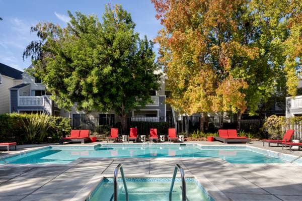 1BR/1BA Apartment on Pepper Tree Ln · Santa Clara photo 3